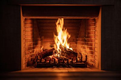 Fireplace Inspection